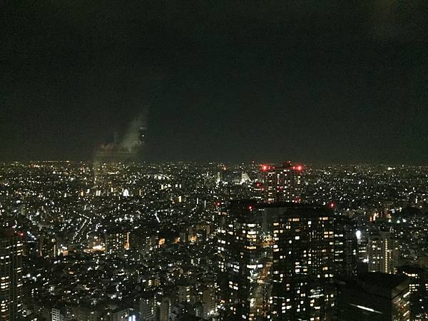 19東京剛剛好 Day4 爬上都廳賞夜景東京新宿都廳第一本廳舍北側展望台 我 儒儒的旅行足跡 痞客邦