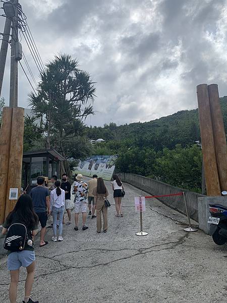 IMG_5169.JPEG IMG_5169.JPEG