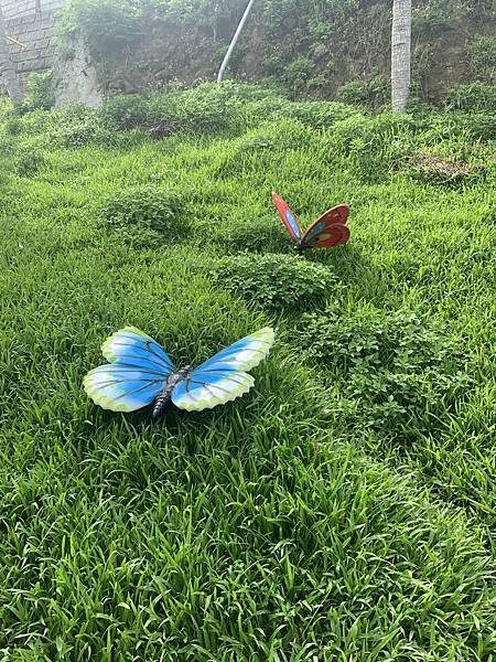 IMG_5181.JPEG IMG_5181.JPEG