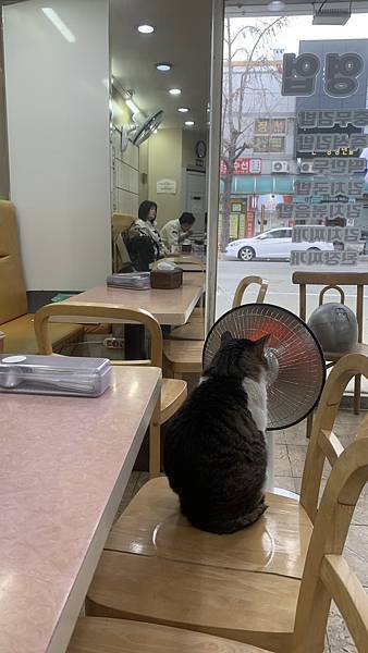 IMG_0248.JPEG IMG_0248.JPEG