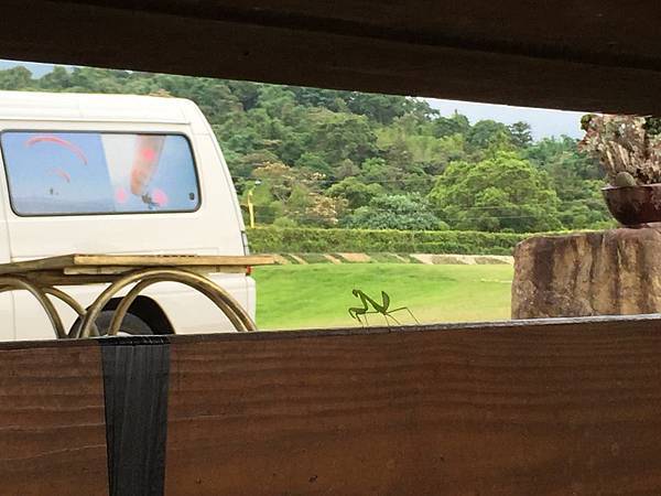 11703033_849238581827497_5237720534882971353_n.jpg 11703033_849238581827497_5237720534882971353_n.jpg