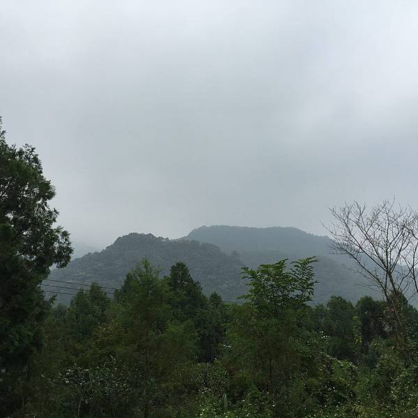 12063702_893074744110547_7145824905761924798_n.jpg 12063702_893074744110547_7145824905761924798_n.jpg