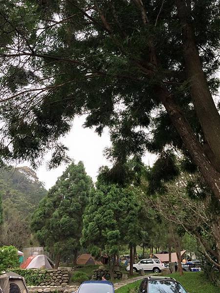 12072683_1093244814026686_6025803652837062111_n.jpg 12072683_1093244814026686_6025803652837062111_n.jpg