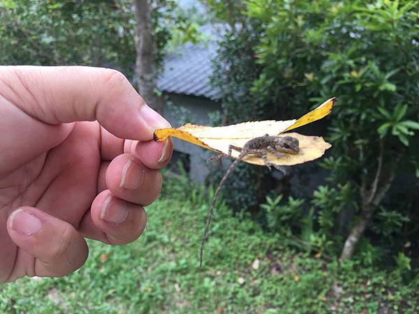 12074513_893074687443886_6206235707334725959_n.jpg 12074513_893074687443886_6206235707334725959_n.jpg