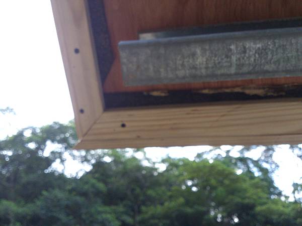 DSC_0306.jpg DSC_0306.jpg