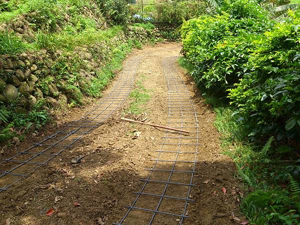 DSC_0249.jpg DSC_0249.jpg