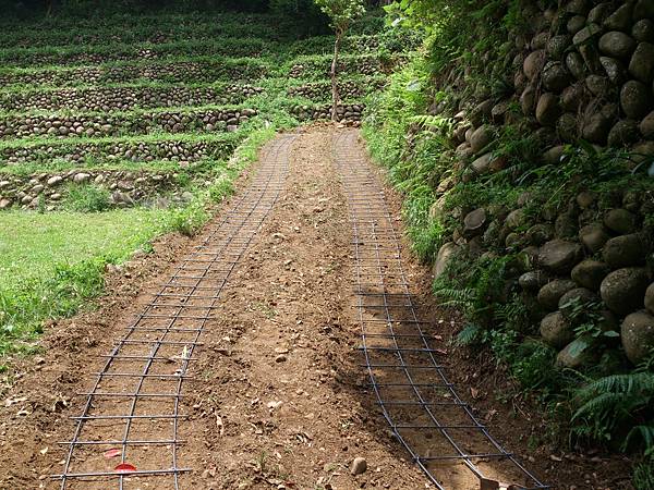 DSC_0248.jpg DSC_0248.jpg