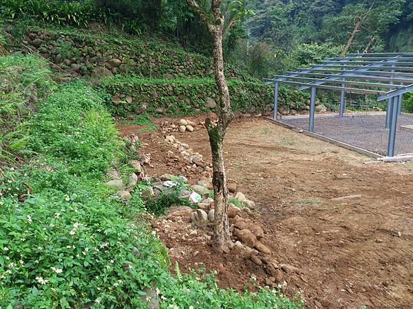 DSC_0247.jpg DSC_0247.jpg