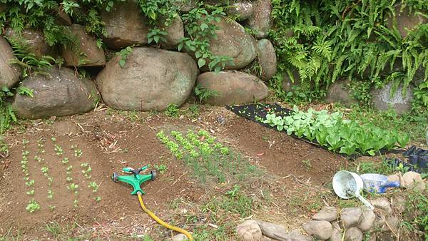 DSC_2102.jpg DSC_2102.jpg