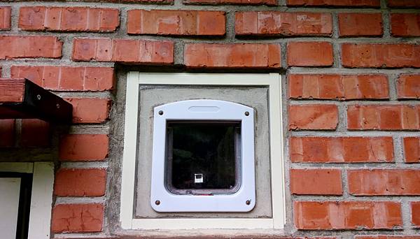 IMAG1797.jpg IMAG1797.jpg