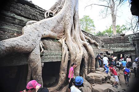 115-Ta Prohm 塔普倫寺.JPG