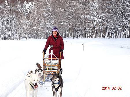 028-狗拉雪橇.JPG