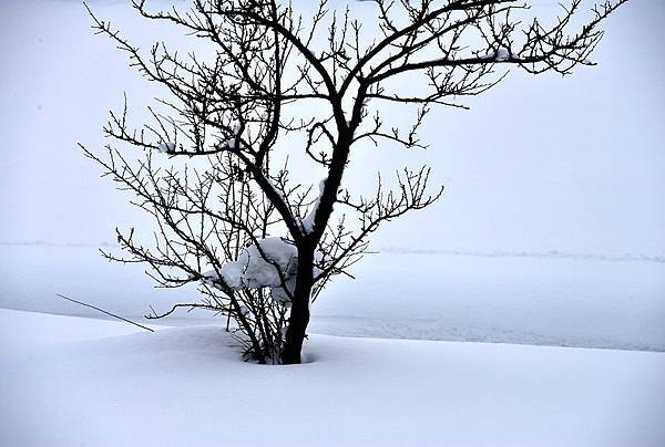 053-雪地即景.jpg