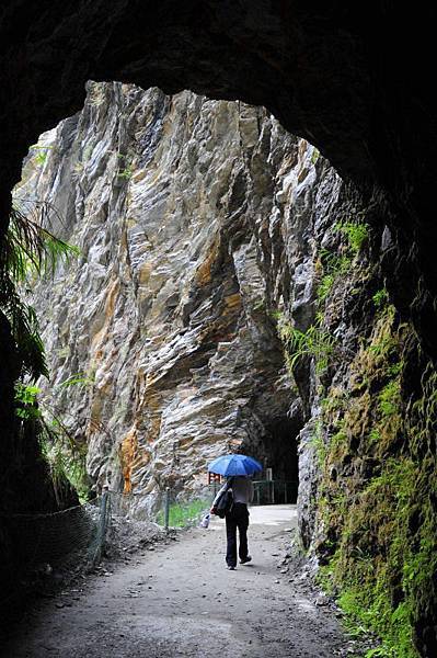 489-獨行中橫-第四天-白楊步道-.JPG