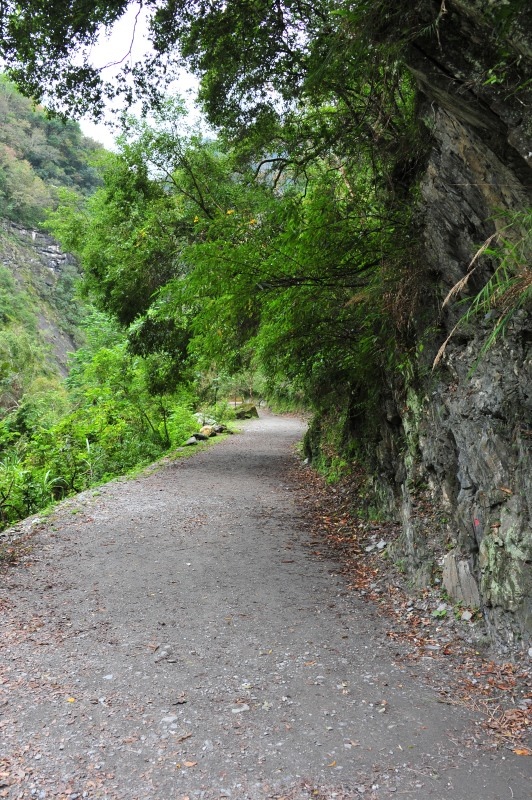 488-獨行中橫-第四天-白楊步道-.JPG