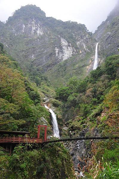 497-獨行中橫-第四天-白楊步道-.JPG