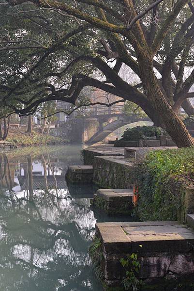 202-江南五日-杭州-西溪溼地-.JPG