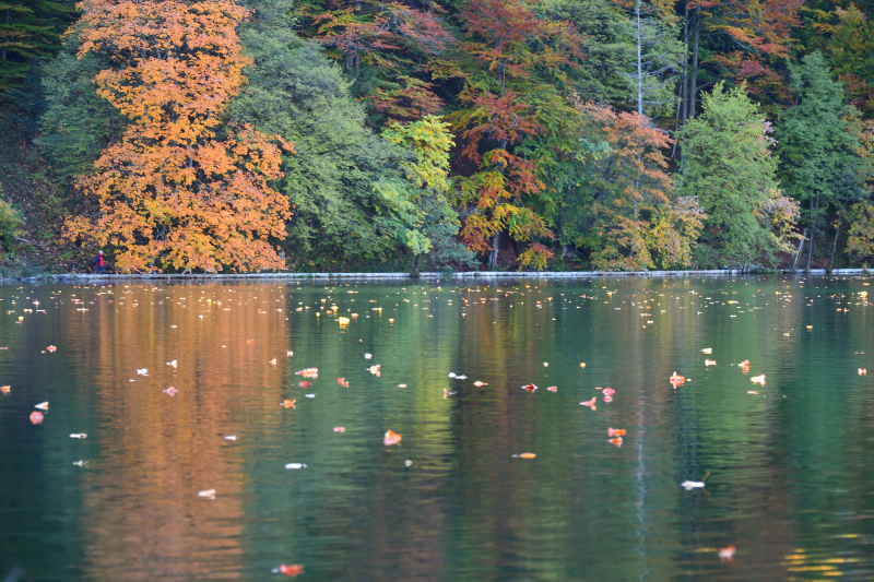 895-16湖國家公園--_.JPG