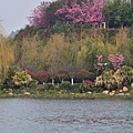 850-昆明市-洛龍公園--_.JPG