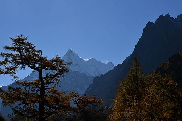 816-稻城亞丁-往沖古寺-夏諾多吉.JPG