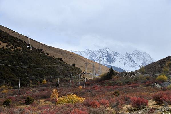 1406-G350公路-氂牛谷-雅拉雪山-.JPG