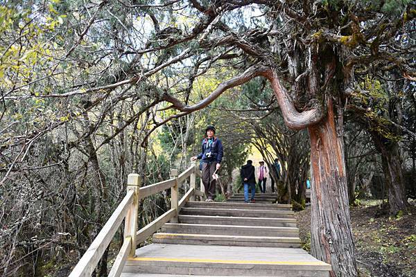 1575-四姑娘山-長坪溝-.JPG