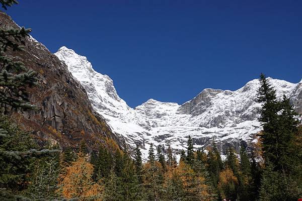 1790-四姑娘山-雙橋溝-紅衫林站.JPG