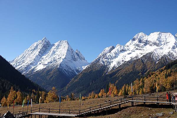 1855-四姑娘山-雙橋溝-牛棚子-.JPG