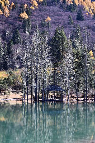 1906-四姑娘山-雙橋溝-四姑娜措-.JPG