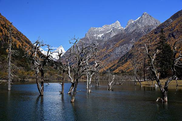 1958-四姑娘山-雙橋溝-隆珠措-.JPG