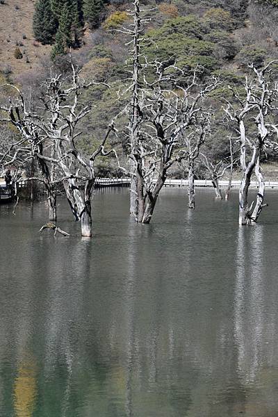 1975-四姑娘山-雙橋溝-隆珠措-.JPG