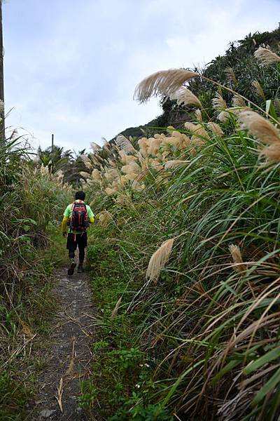 113-阿朗壹古道-.JPG