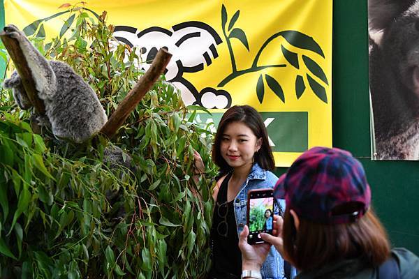 412-雪梨跨年-動物園-.JPG