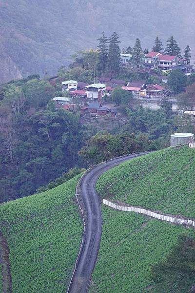 709-day-4-力行產道-巴告茶園民宿-.JPG