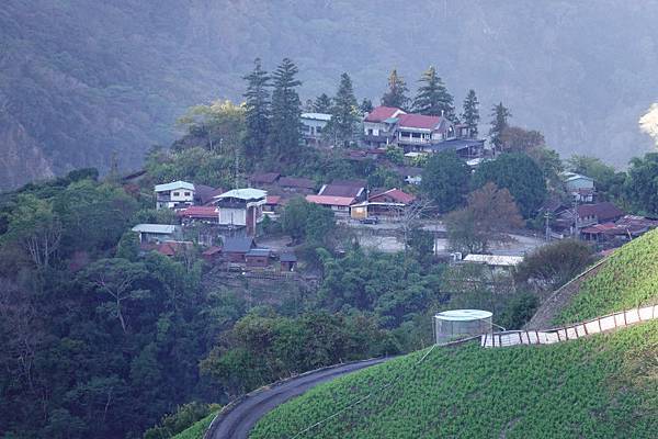 710-day-4-力行產道-巴告茶園民宿-.JPG