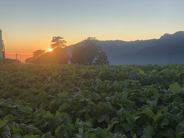 79-day-1-力行產道-往華岡-.JPG