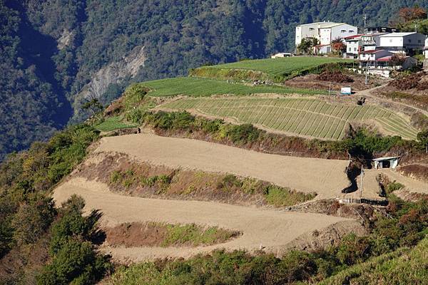 498-day-2-力行產道-往力行村馬烈霸.JPG