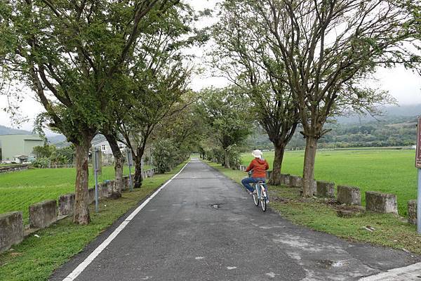 1327-day8-池上自行車旅遊-.JPG