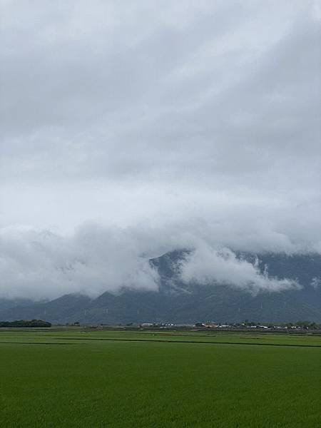 1421-day8-池上自行車旅遊-.JPG