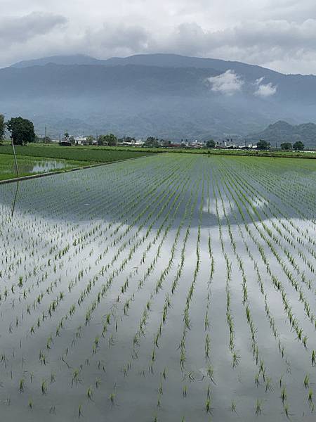 1796-day10-台九線-太平溪大橋-.JPG