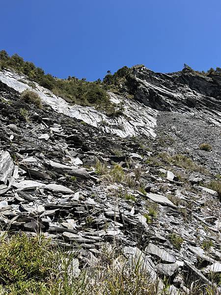 147-南橫通車之旅-登關山嶺山.JPG