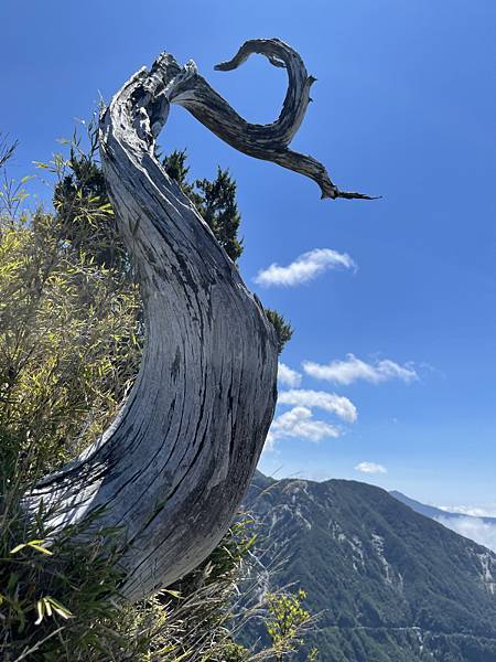 212-南橫通車之旅-登關山嶺山.JPG