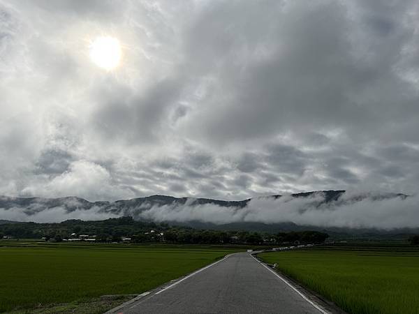 596-南橫通車之旅-池上天堂路-.JPG