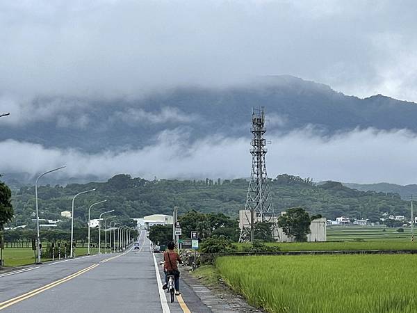 497-南橫通車之旅-池上田野-.JPG