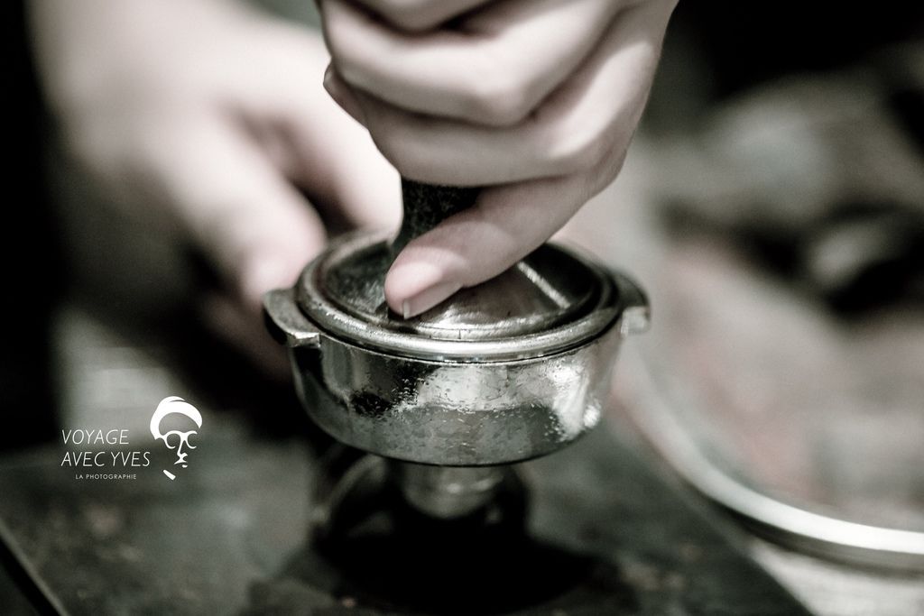 AJ0A7195.jpg AJ0A7195.jpg