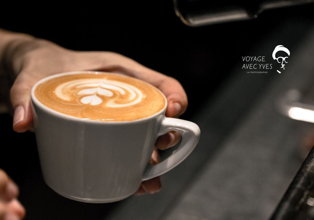 AJ0A7225.jpg AJ0A7225.jpg