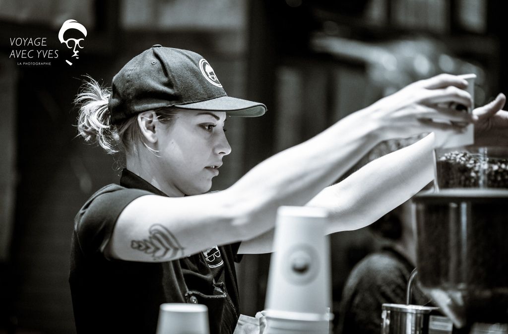 AJ0A7243.jpg AJ0A7243.jpg