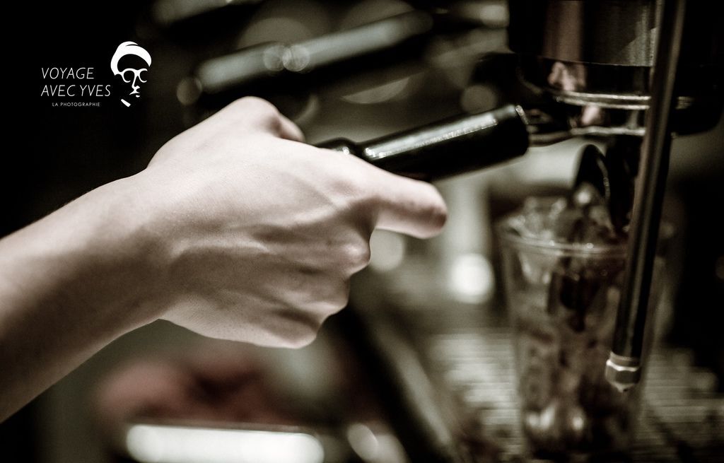 AJ0A7279.jpg AJ0A7279.jpg