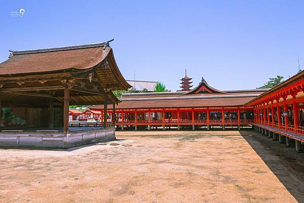 神社 (7).jpg