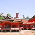神社 (6).jpg